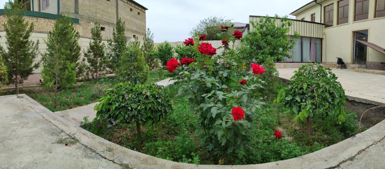 Hud Hud Ostello Bukhara Esterno foto